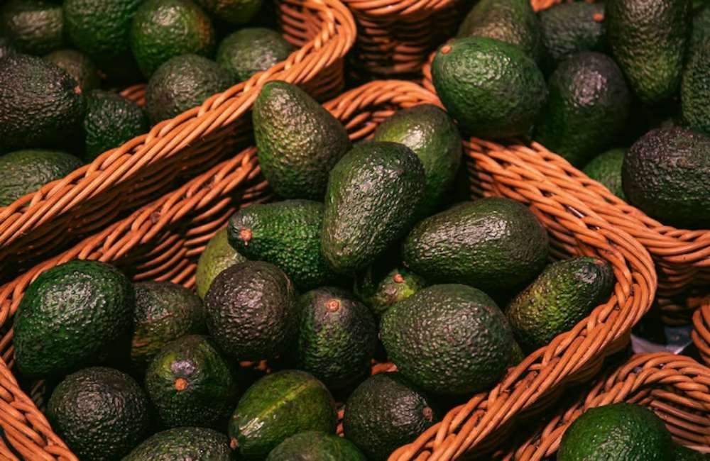 Avocado