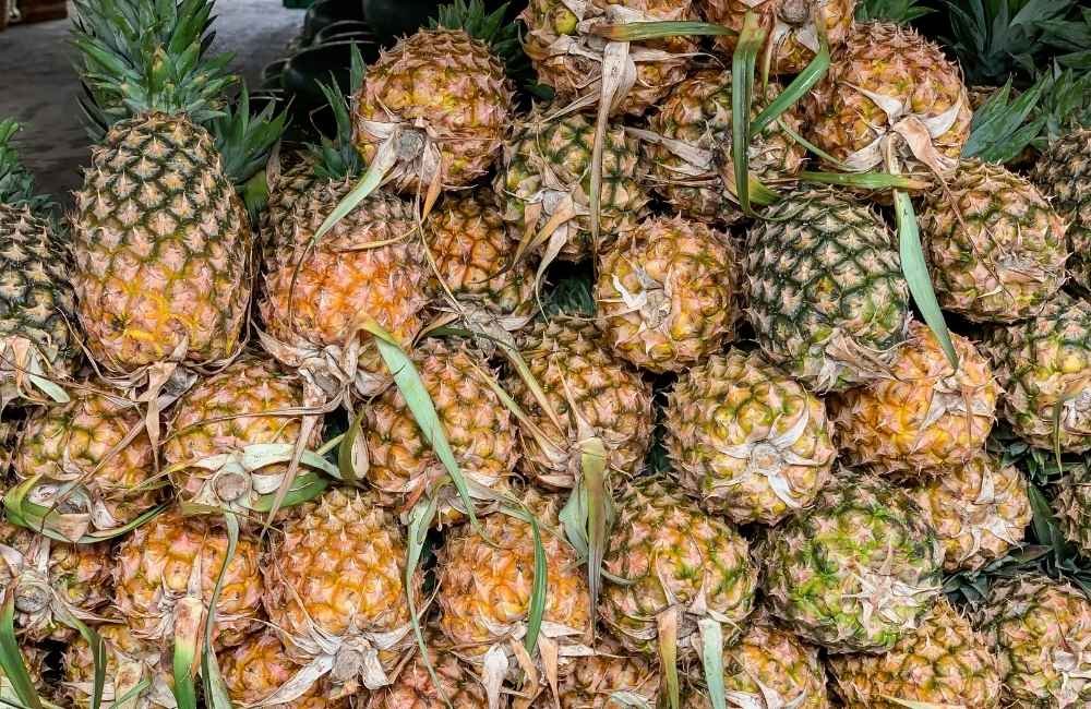 Pineapple