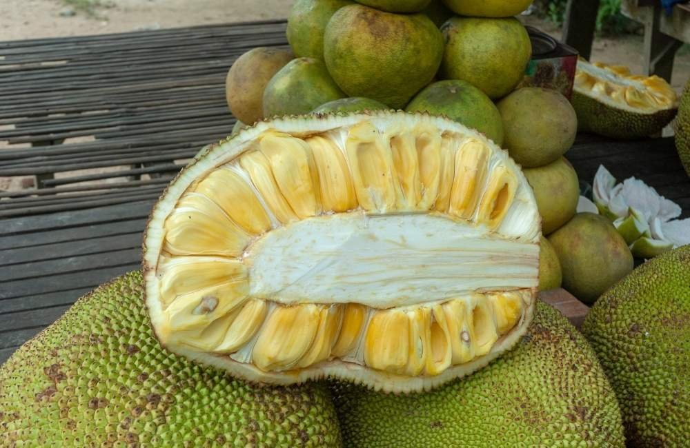 Jackfruit